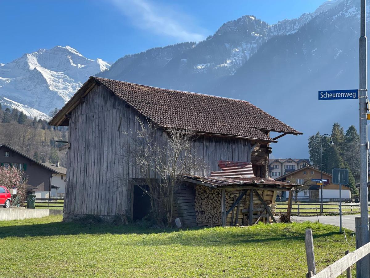 S&P Mountain View Apartment 2 Wilderswil Eksteriør bilde