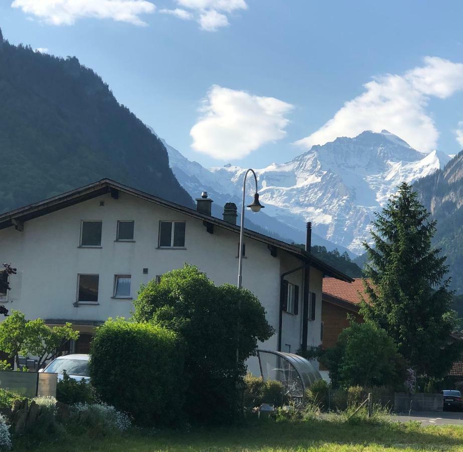 S&P Mountain View Apartment 2 Wilderswil Eksteriør bilde